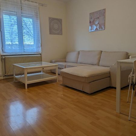 Le Balois - Appartement 2 Chambres, Salon, Cuisine Equipee, Parking Et Wifi Gratuit Mulhouse Dış mekan fotoğraf