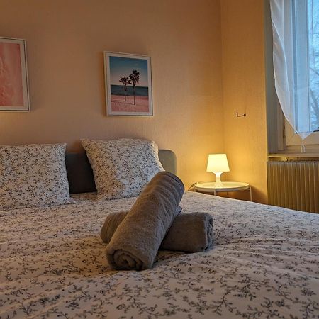 Le Balois - Appartement 2 Chambres, Salon, Cuisine Equipee, Parking Et Wifi Gratuit Mulhouse Dış mekan fotoğraf