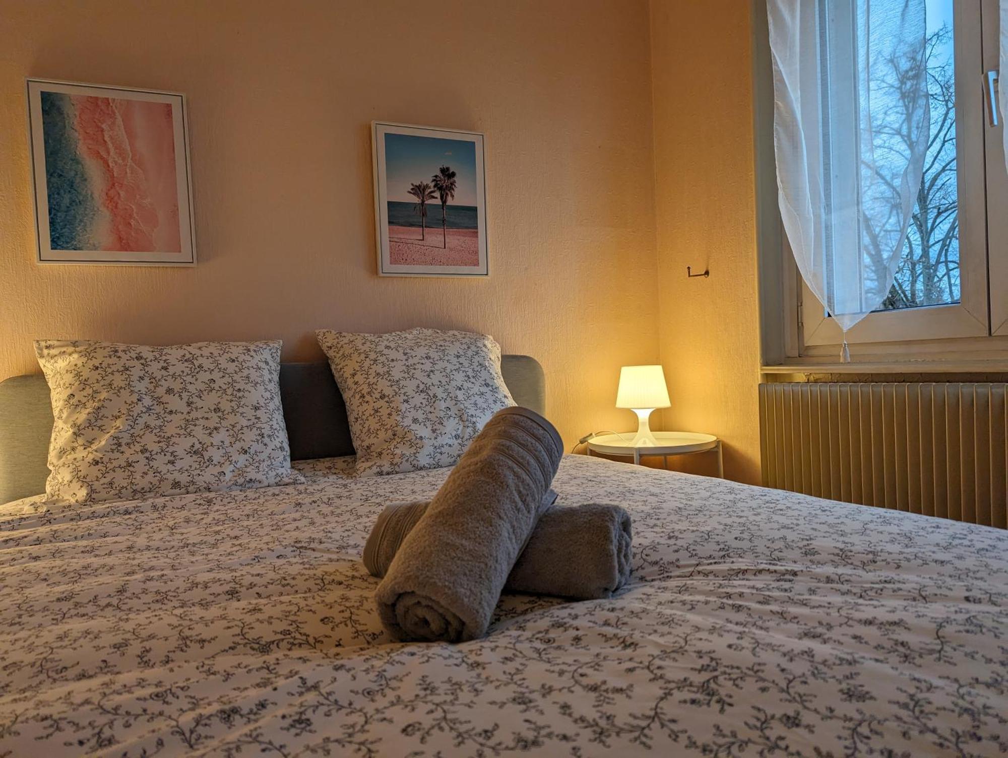 Le Balois - Appartement 2 Chambres, Salon, Cuisine Equipee, Parking Et Wifi Gratuit Mulhouse Dış mekan fotoğraf